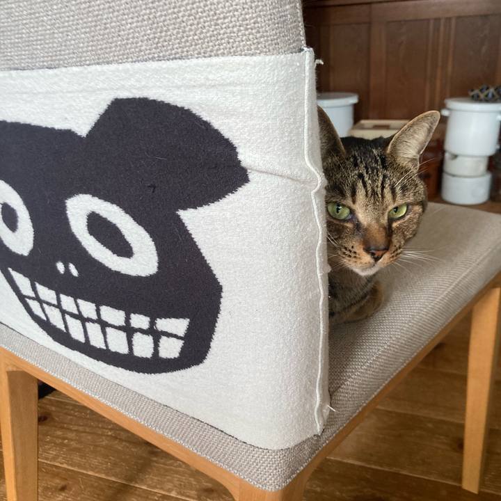 A1d2a652 fa90 47d2 bbfa d0182d827516 1746626765113