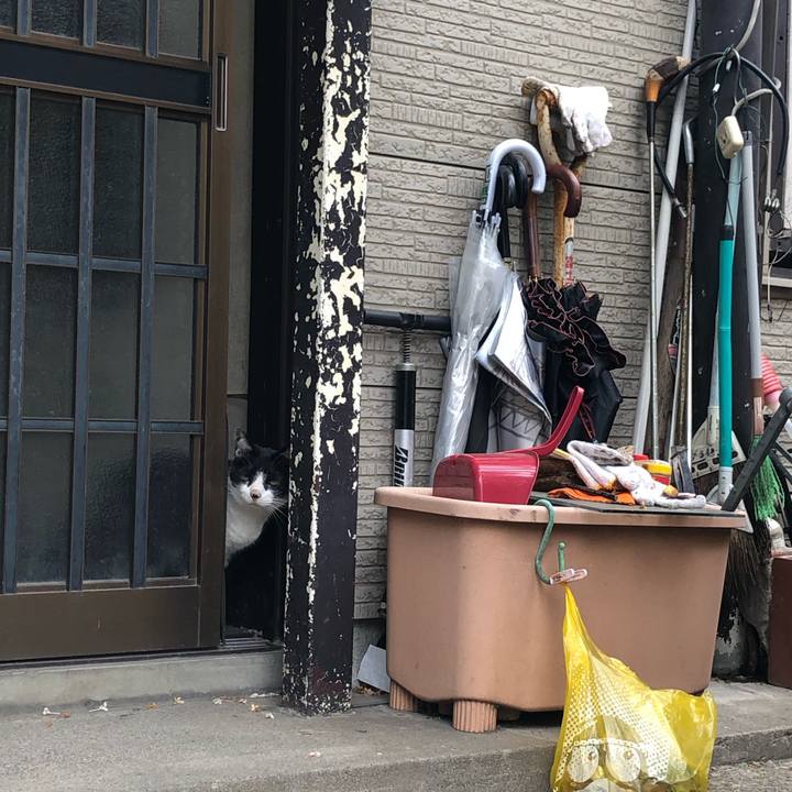 A1d2ab47 6c66 4872 b788 05b991ad81a4 1589721439865