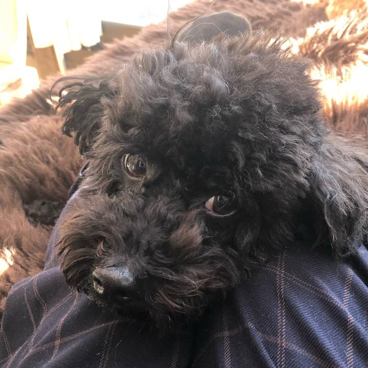 A1d2ad5d 3525 429a b682 840775ba0c01 1578878710270