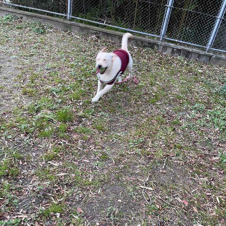 A1d2c301 ff07 4994 9092 330626db8c98 1642765652546