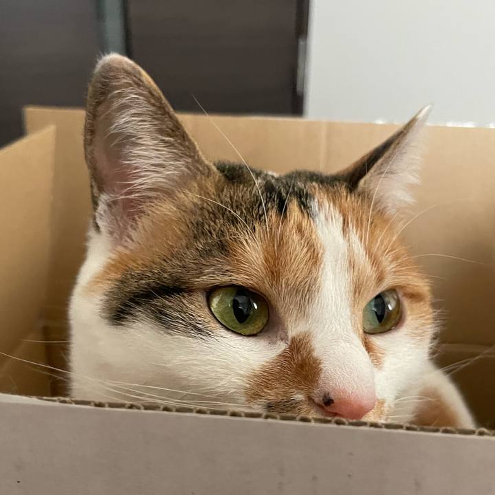 A1d2d7ed 3850 4f9b 9df3 477121f861b6 1646785739497