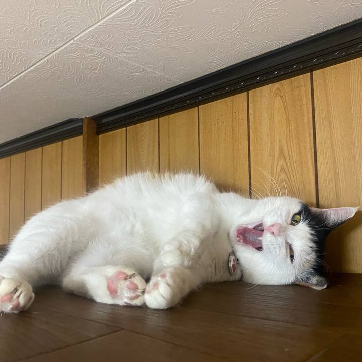 A1d2d99f 5f64 42db bc9d 4692de13cf87 1644936222029