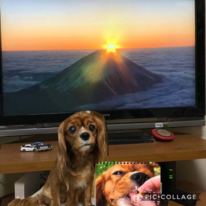 A1d2e67c d5dd 4e2f ab6f 035a72422710 1577918118583