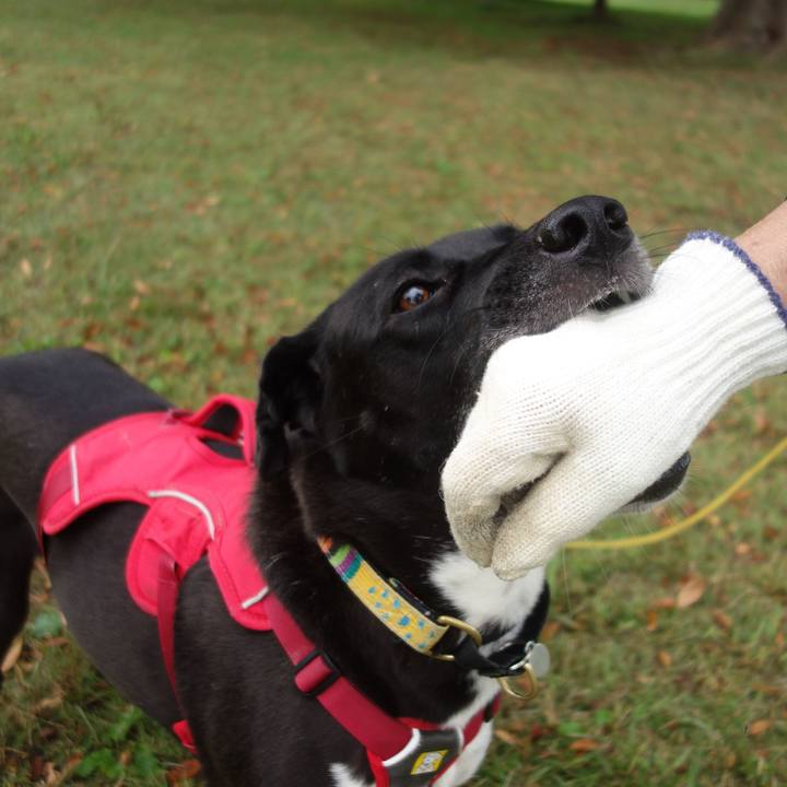 A1d2f22c 6ef8 43a0 b1a3 e9f93232a5b1 1603066444276