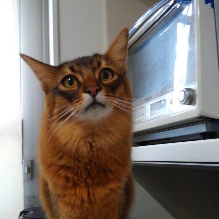 A1d2fcf5 cf31 4bb2 a5f9 a091a0c9d19c 1618904232344