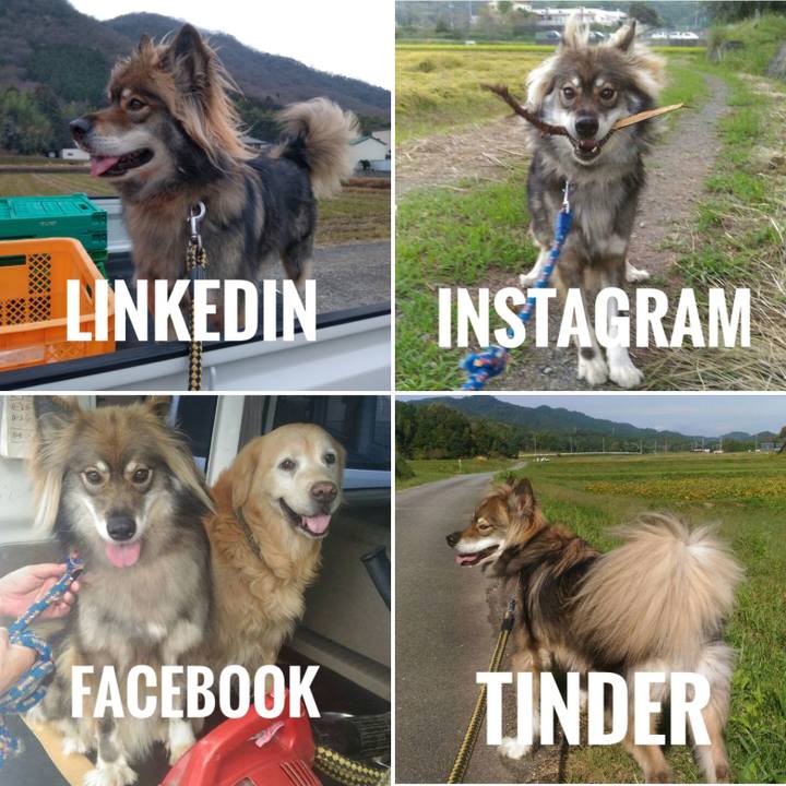 A1d3069c 9301 4c33 a137 f56fe2855f80 1580112056082