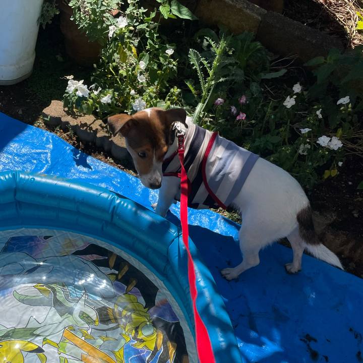 A1d32c39 295a 4279 8ad2 abec57b7839e 1690711651700