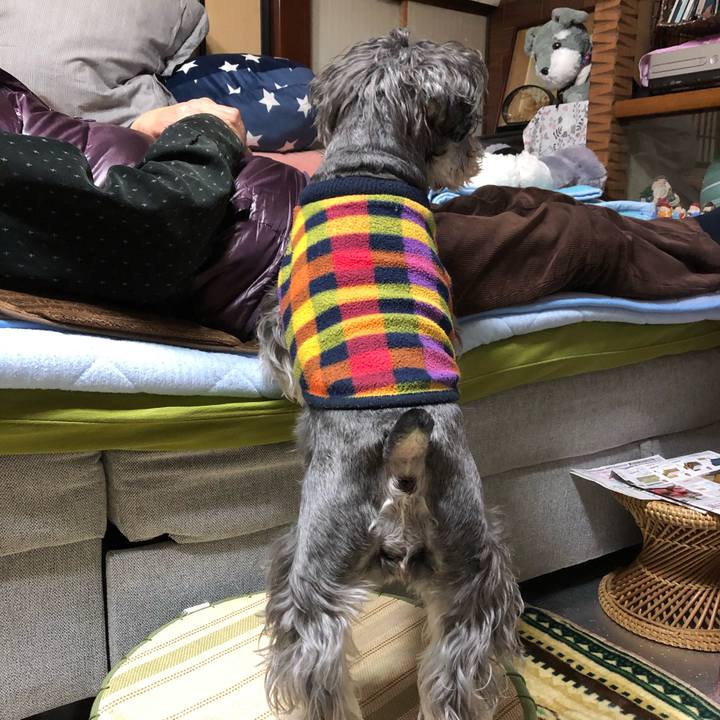 A1d38929 a6bd 437b a5c0 22bcfb12dc76 1639762470785