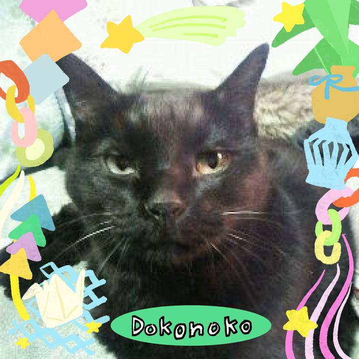 A1d40dcc c06f 4218 8497 c310b2c90864 1755085151136