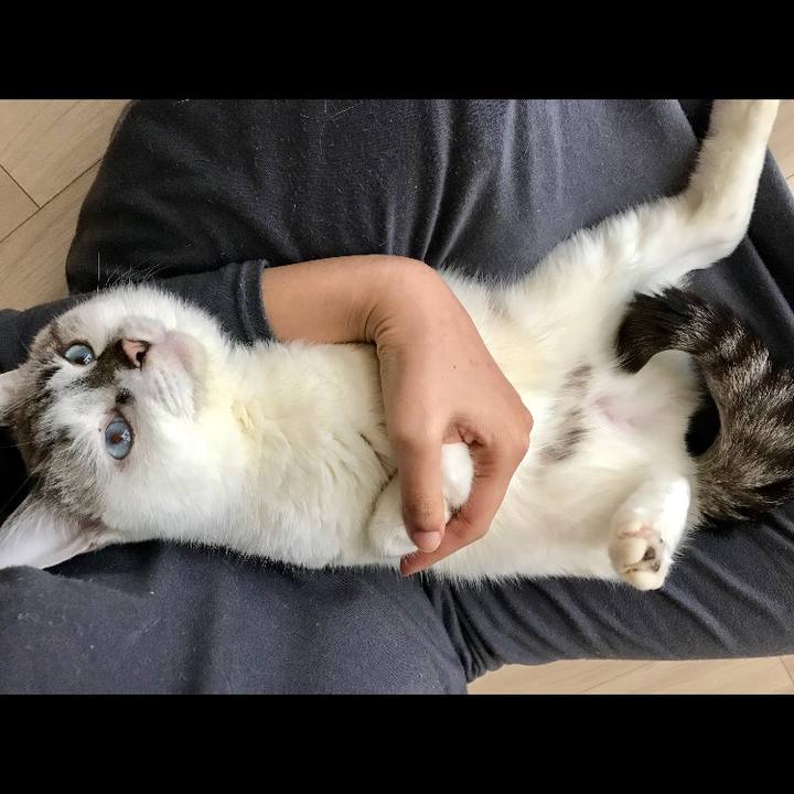 A1d420fe 8039 450b 8b44 edc8cddbac68 1512885945414