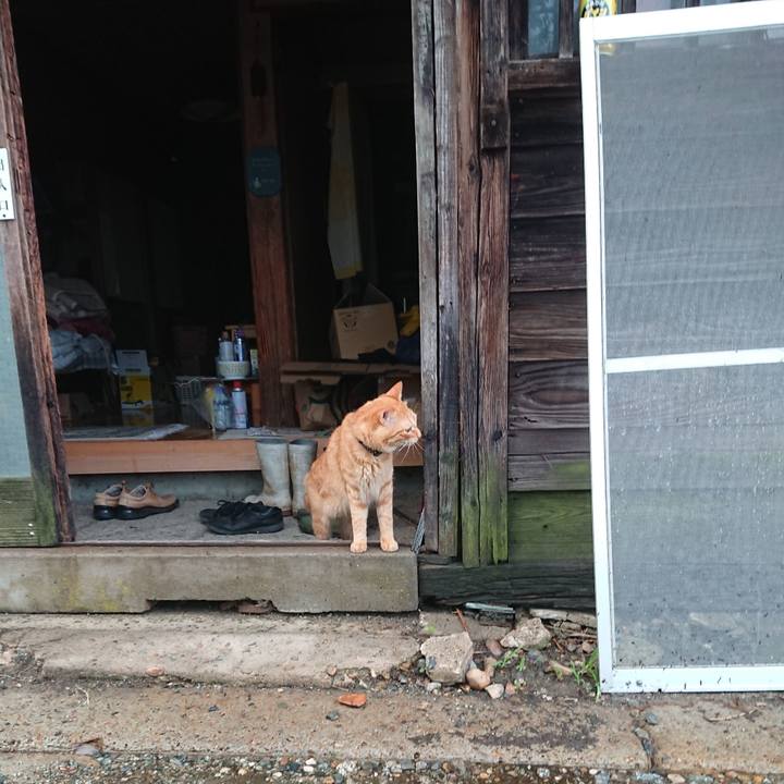 A1d42ca5 37d8 4ede 8f69 69c943ecd1d4 1661557121326