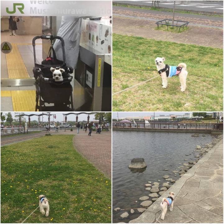 A1d434d6 a6af 40aa 8da9 8c1aff7735fe 1555842342581