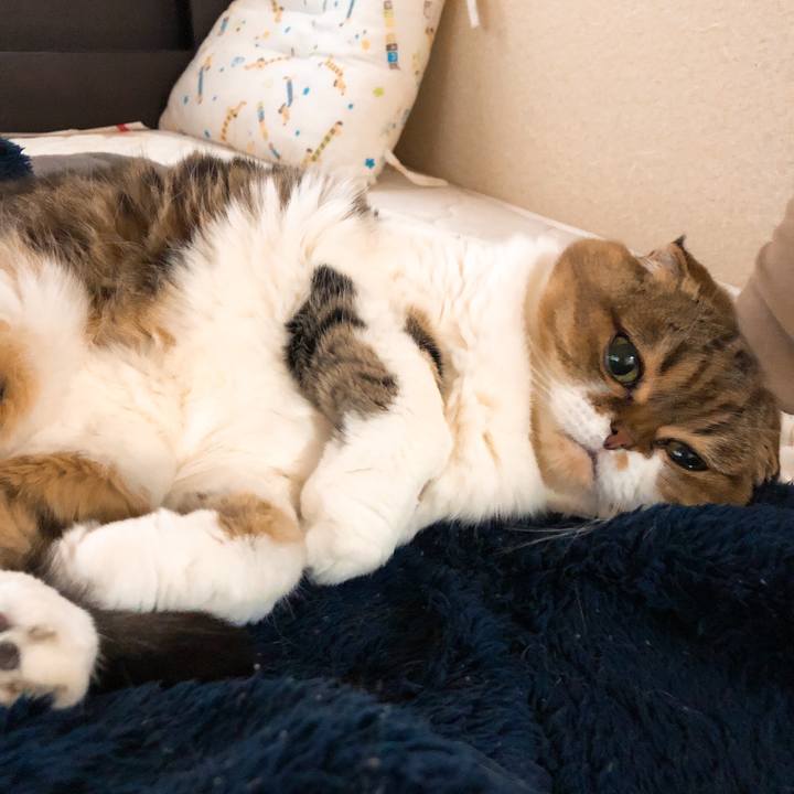 A1d44263 de17 4984 9365 c4ffa048dbd6 1545538615788