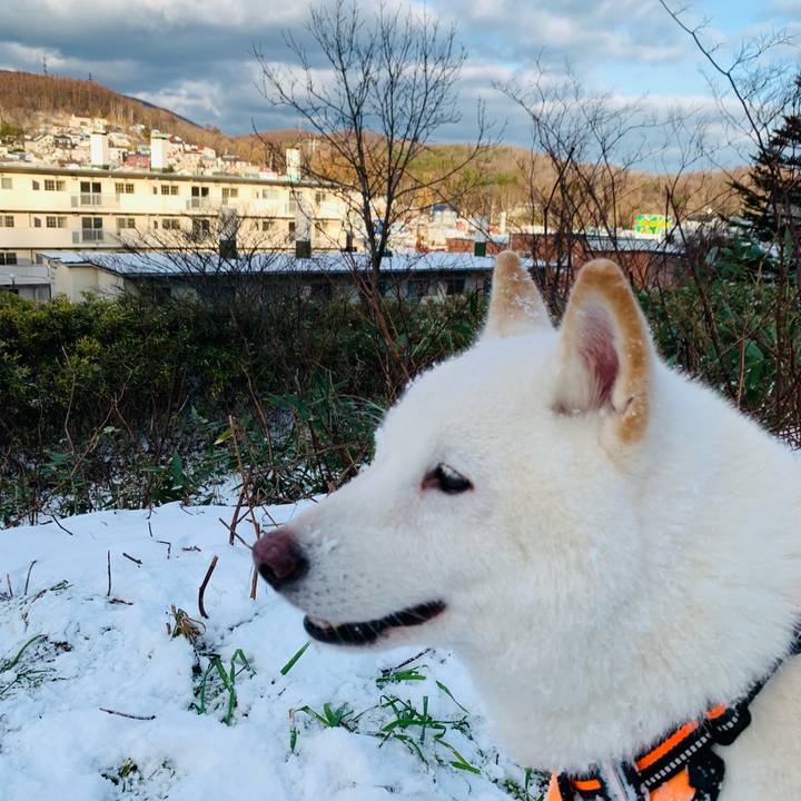 A1d44ddc 5239 43f4 bc17 8ee5c6bc140e 1638748989701