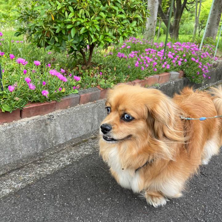 A1d459fd fe1a 4504 94bd edc2ead71cb6 1591220279076