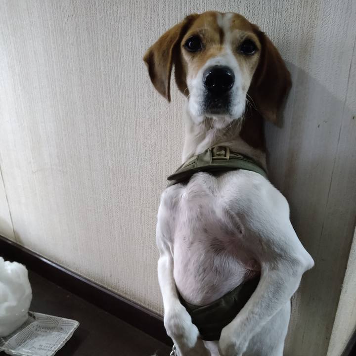 A1d4619a 9995 41ae 83df c58ba0d469aa 1671194142678