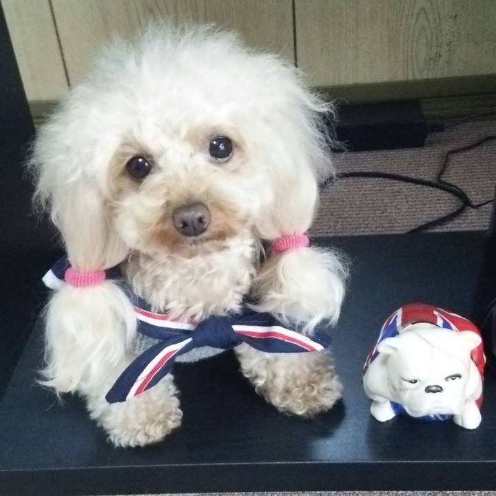 A1d47aa5 a419 46e7 93a2 c17f27989c93 1516612198452