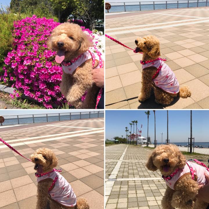 A1d517ba 573d 416f 8976 3282575e18f6 1524986581292