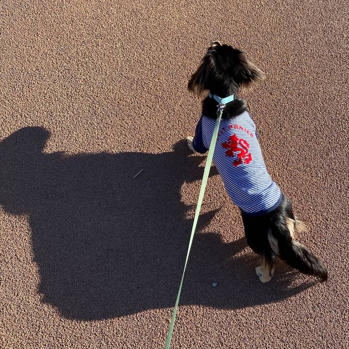 A1d523f4 6692 447f 856a b04908b4f46d 1697944366423