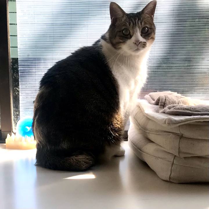 A1d56024 c505 4bf1 9c25 16c2fe6bd5f8 1614216059103