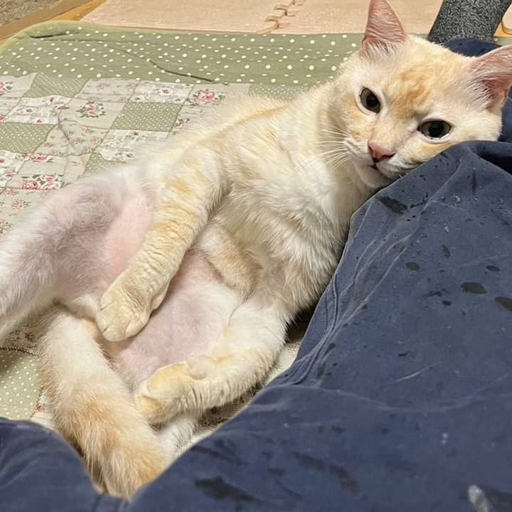 A1d598e4 5e13 4977 9a58 a91d34b46f3a 1695249061034