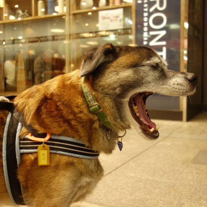 A1d59c4e 20a6 4b97 8b99 d0a156176cbc 1543748884613