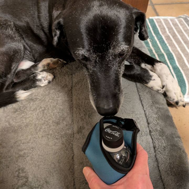 A1d5cd60 2b6c 48b0 9f38 0020634a4ba2 1770640070134