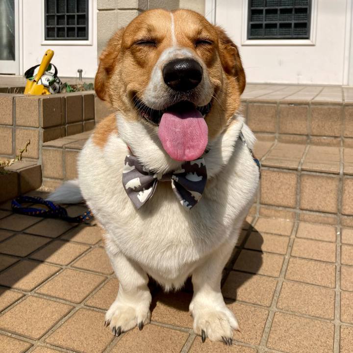 A1d62e20 a18e 4d36 914f eca75c024fa5 1646107106489