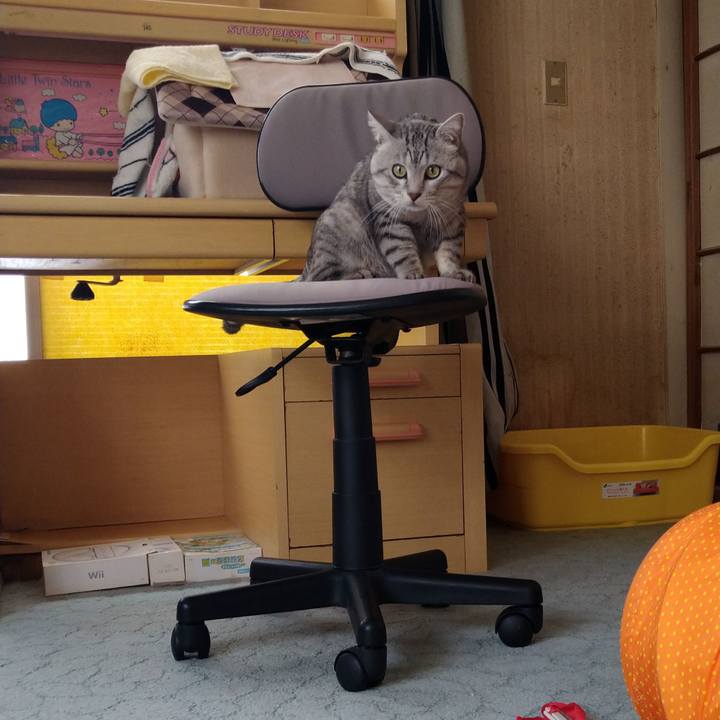 A1d63781 f9b7 4976 be45 ba90839f5918 1612514914440