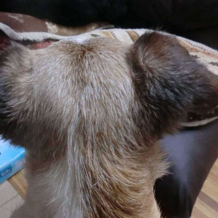 A1d65bb0 93c3 42cc b34c 992018b8275c 1562328108548