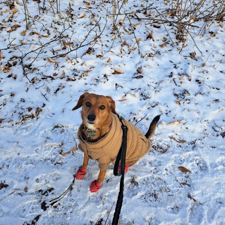 A1d66bd9 4062 41f3 a181 de5018098710 1764857453126