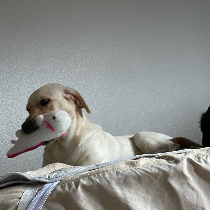 A1d6807d 5208 4d9f 83c5 b0538cee184c 1659135704810