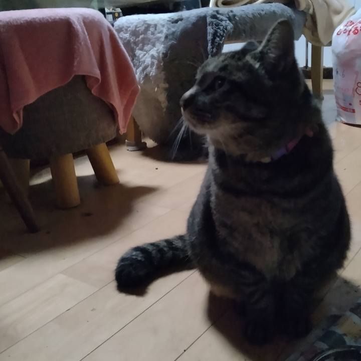 A1d68c68 e810 4453 97d0 d8753bbd845f 1668375604117