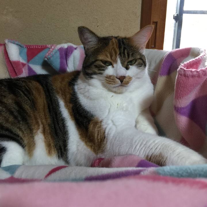 A1d6b023 3bab 4efa bc5d 81efc041c73f 1699185768911