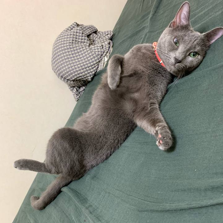 A1d6d3db 57ca 499f 9386 7fb21318329d 1596548846845