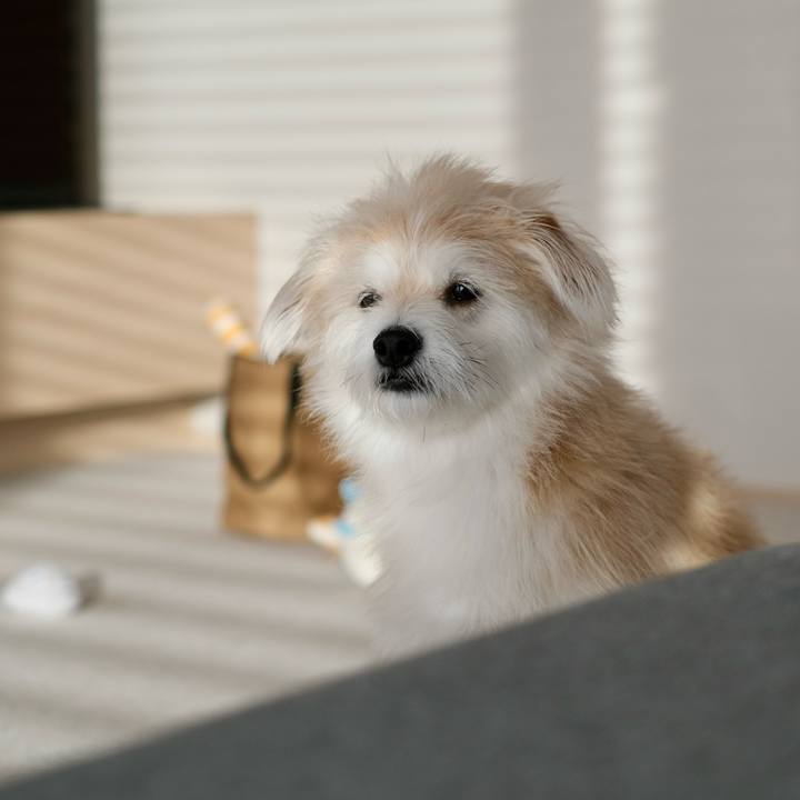 A1d6e18e 959e 41a8 ab73 d0e2a9754634 1766188365080