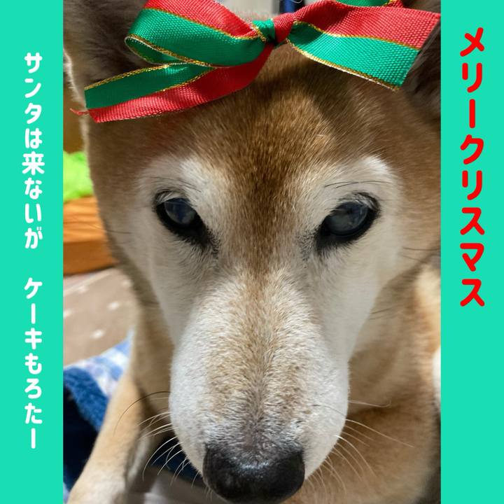 A1d6fe7f 4cb0 41d7 b40d 09e31ad3ed84 1735085824470