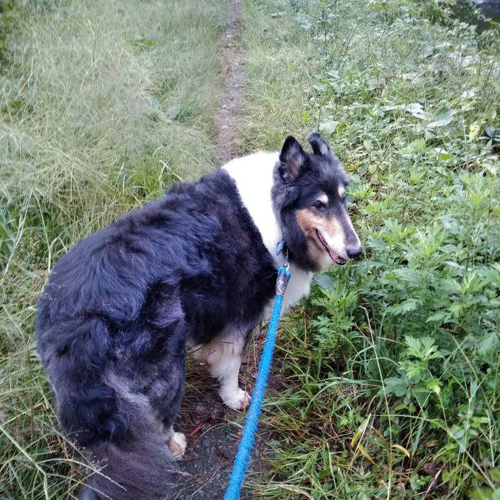 A1d72d03 86f2 4af5 afb8 a681e4a4d681 1539354632588