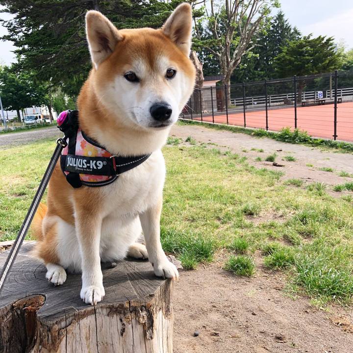 A1d73308 4312 4557 b776 1c825bb27b25 1560298165411