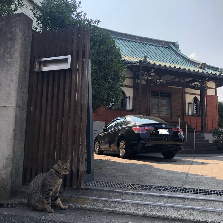 A1d73441 0123 4452 aa70 84b93afc5c2a 1564851213265