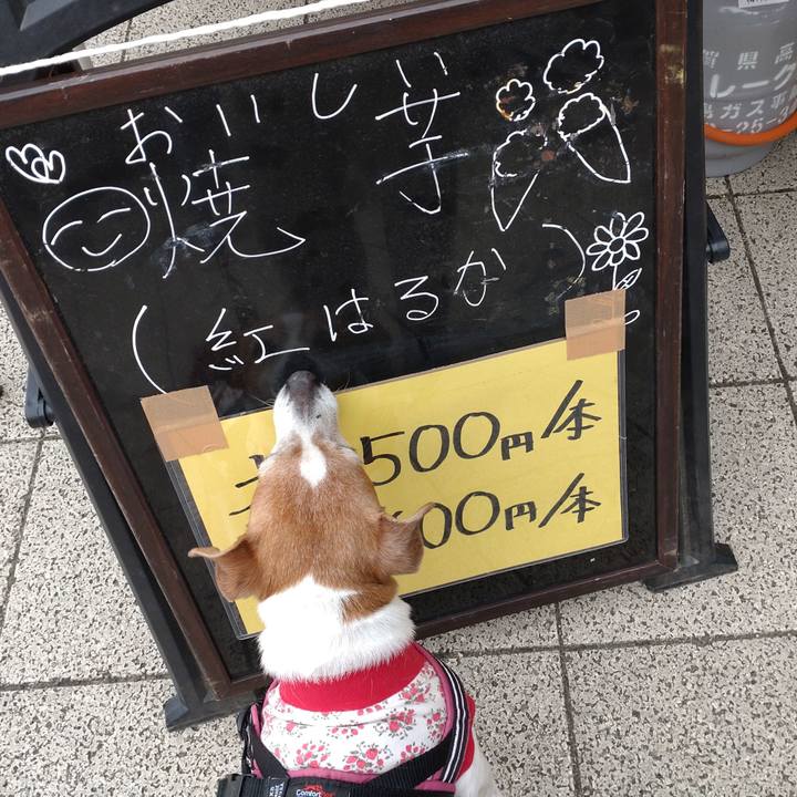 A1d75c11 15d3 43b4 8cc0 c95dab72c86f 1774158181108