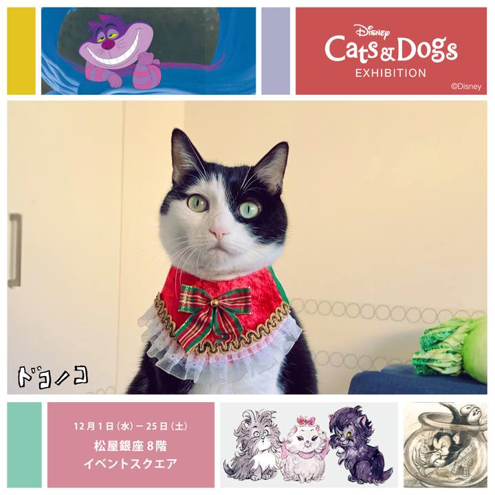 A1d76e50 60fd 4bc7 aa9a 480e3c2519e1 1639798839000