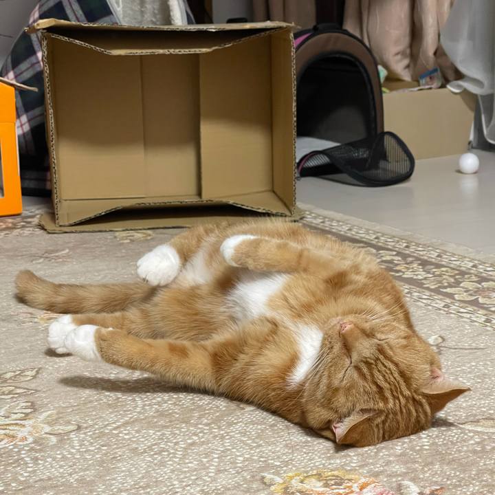 A1d7a4c9 b461 446b b396 02e79525f281 1607952681150