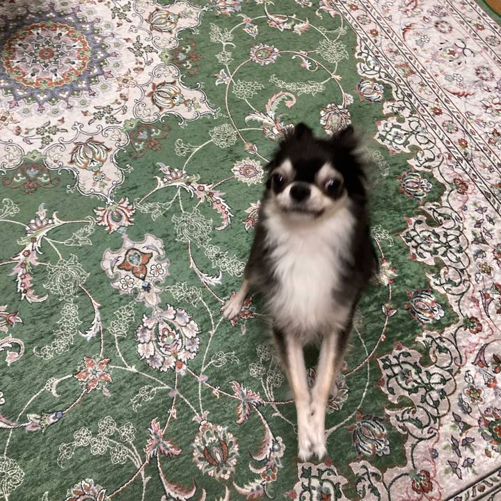 A1d7a562 454e 4c7d 8276 6f89684d2b1d 1658670219277