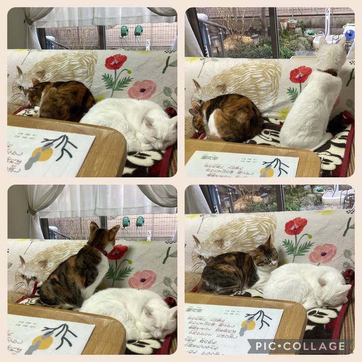 A1d7ded1 326c 4371 a145 33b1067ca24f 1674008281173