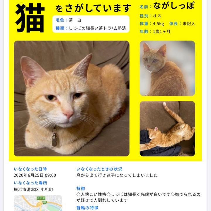 A1d8034f 80c9 4b94 9e93 cbae4729264c 1598347541221