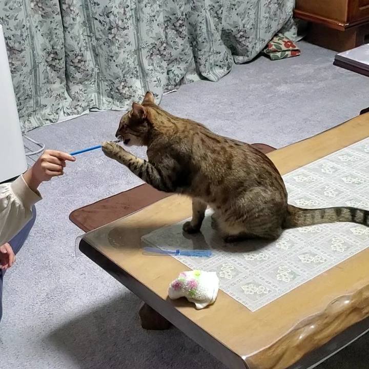 A1d80513 8b3d 4726 b1cb 764fd23accff 1704638611649