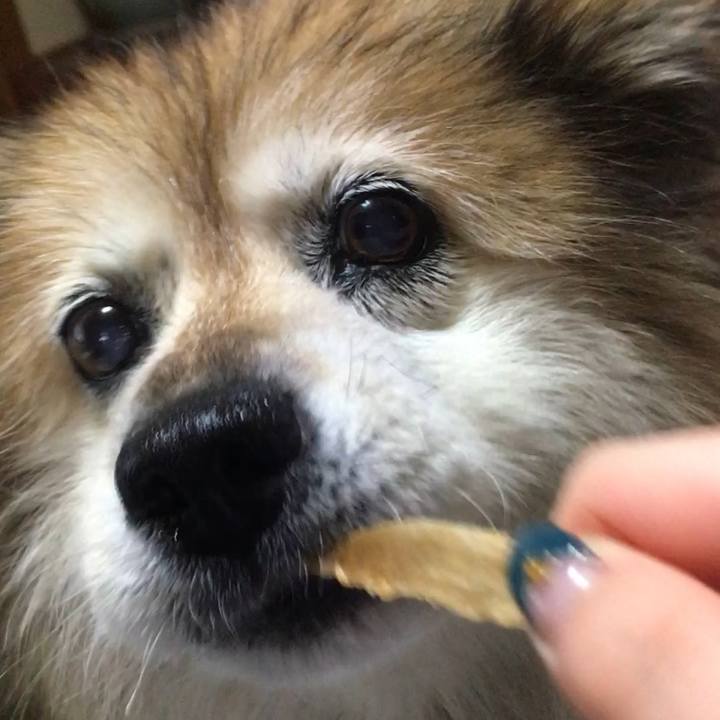 A1d80909 e579 4fc6 967e 90ce035730d6 1550205586020