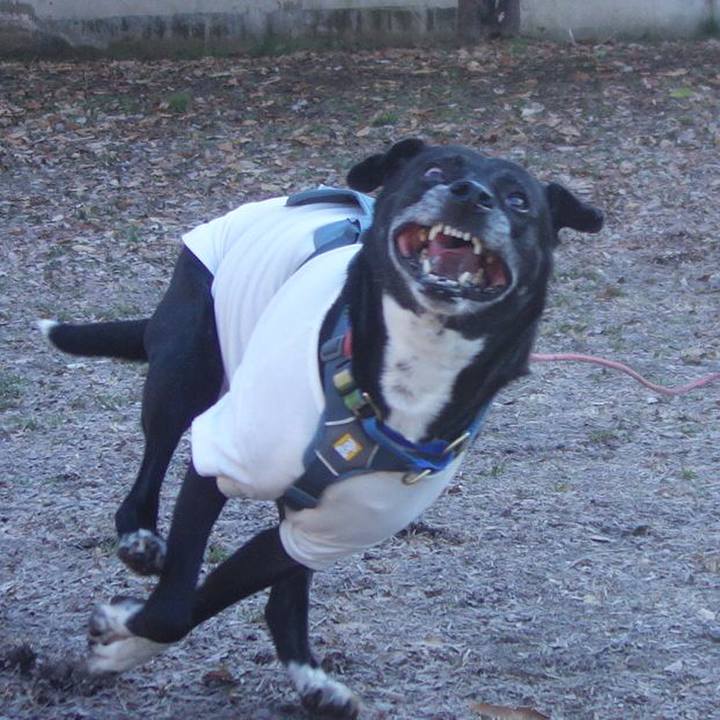 A1d81064 3109 44a4 bd95 7be3aaff1793 1707786375492