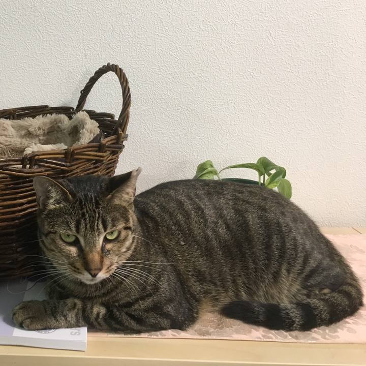 A1d81efb 7961 4e5f 821d db993eda05c6 1530349039253